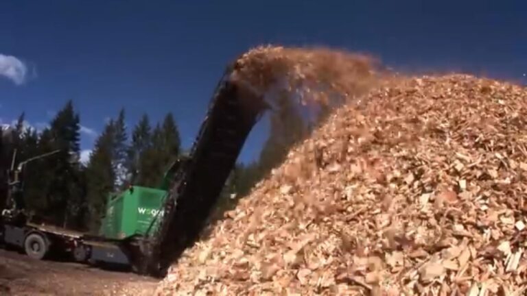 Tropikal Ağaçlar & Wood Chips